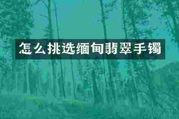怎么挑选缅甸翡翠手镯