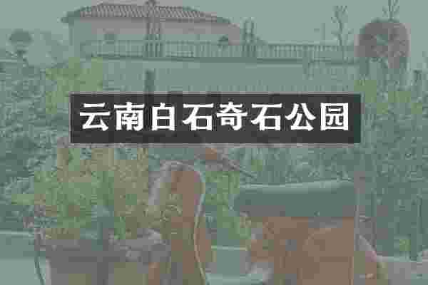 云南白石奇石公园