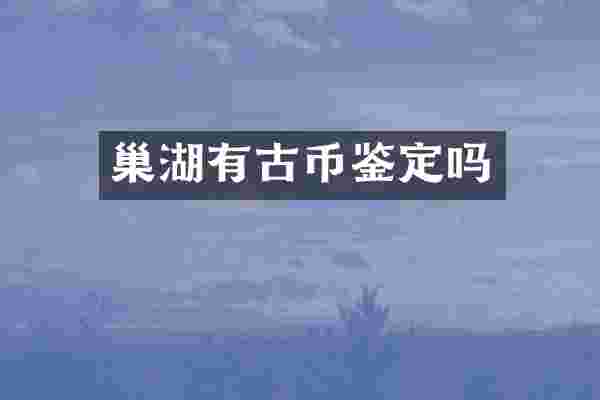 巢湖有古币鉴定吗