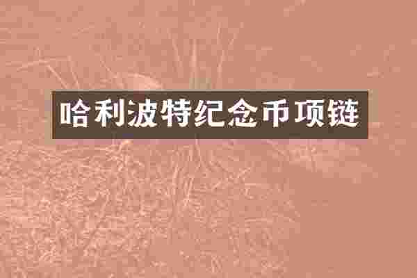 哈利波特纪念币项链