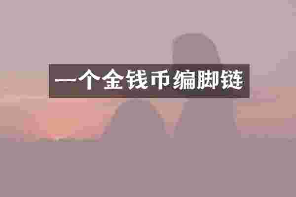 一个金钱币编脚链