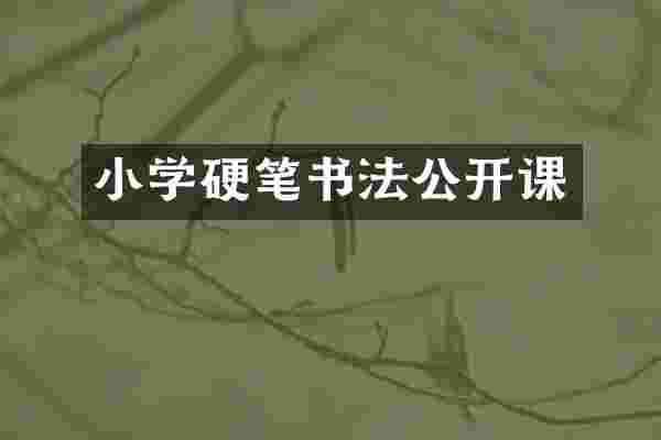 小学硬笔书法公开课