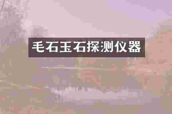 毛石玉石探测仪器