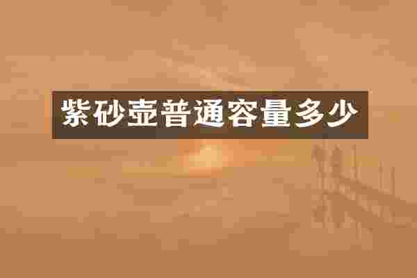 紫砂壶普通容量多少