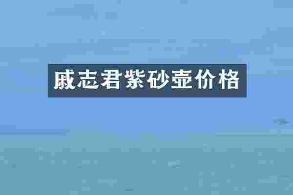 戚志君紫砂壶价格