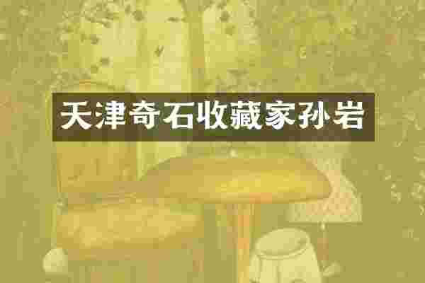 天津奇石收藏家孙岩