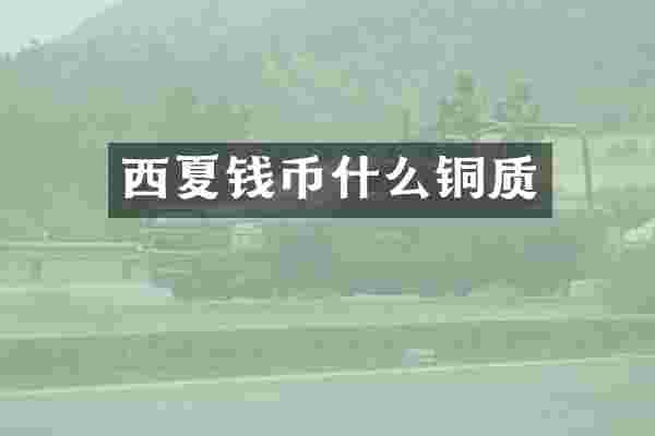 西夏钱币什么铜质