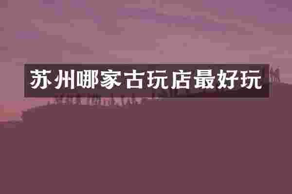 苏州哪家古玩店最好玩