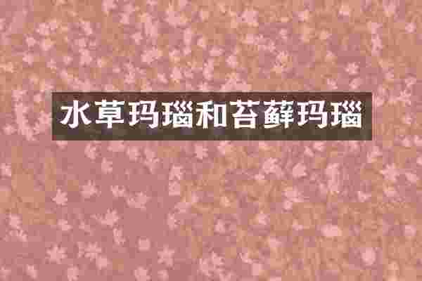 水草玛瑙和苔藓玛瑙