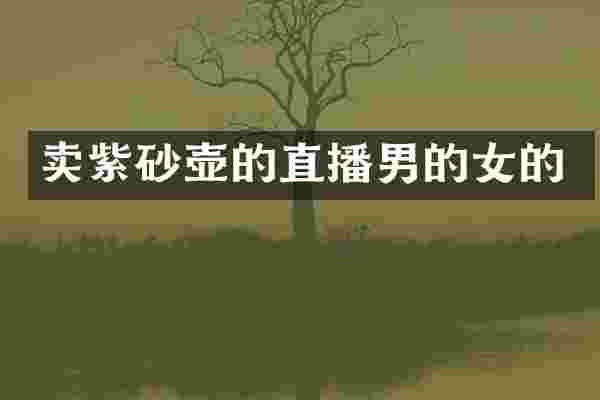 卖紫砂壶的直播男的女的