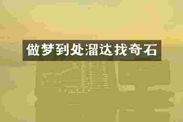 做梦到处溜达找奇石