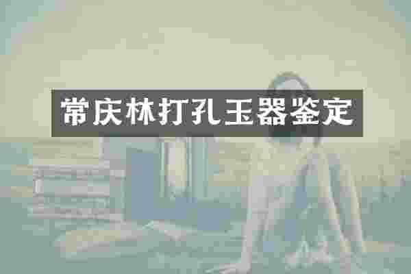 常庆林打孔玉器鉴定