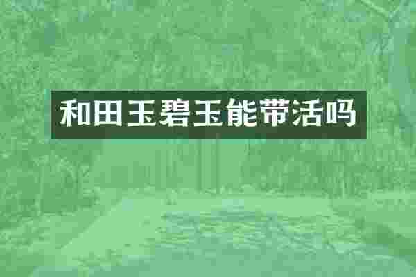 和田玉碧玉能带活吗