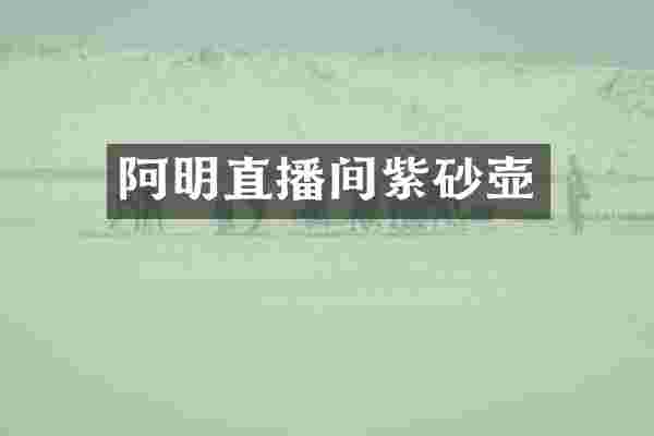 阿明直播间紫砂壶