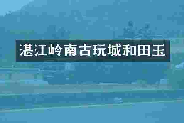 湛江岭南古玩城和田玉