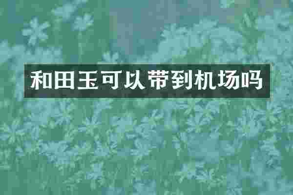 和田玉可以带到机场吗