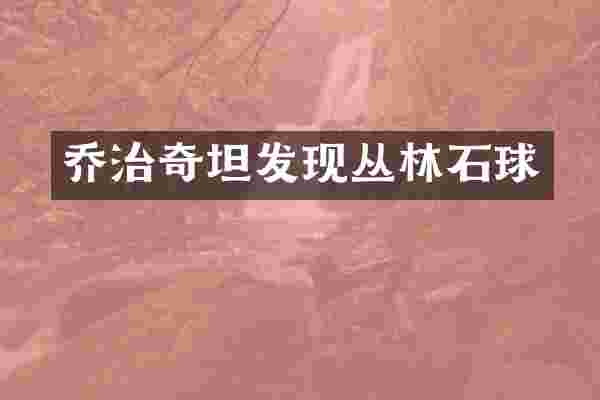 乔治奇坦发现丛林石球