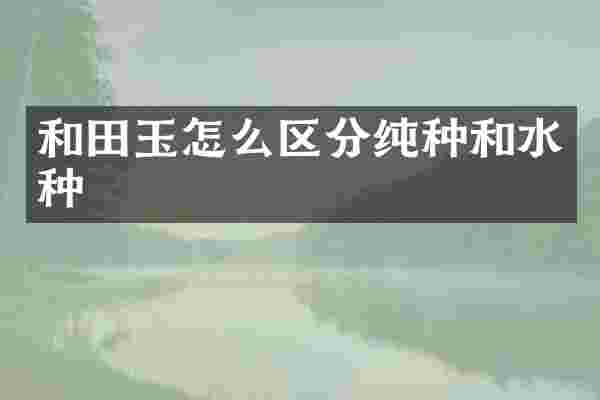 和田玉怎么区分纯种和水种
