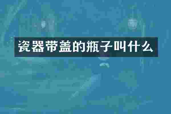 瓷器带盖的瓶子叫什么