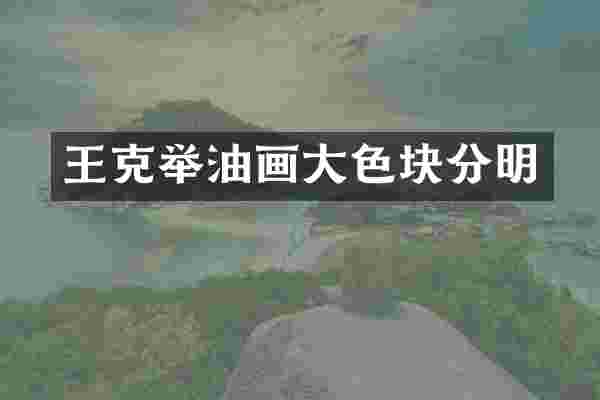 王克举油画块分明