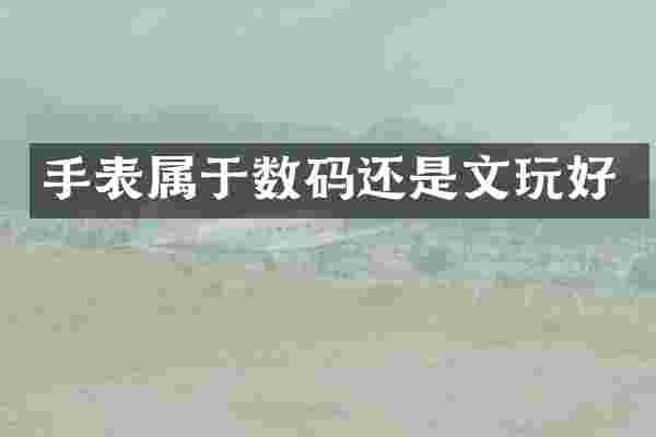 手表属于数码还是文玩好