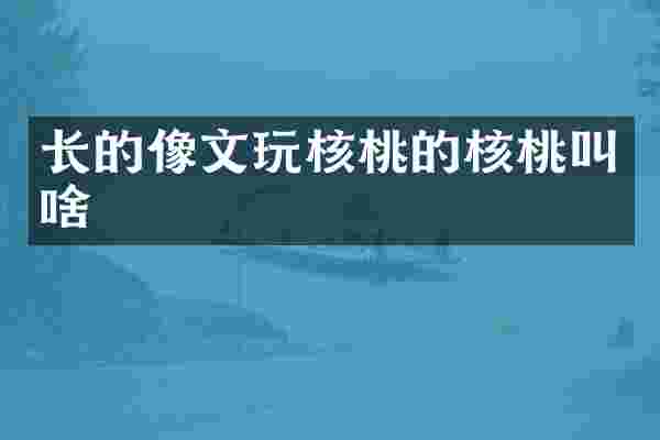 长的像文玩核桃的核桃叫啥