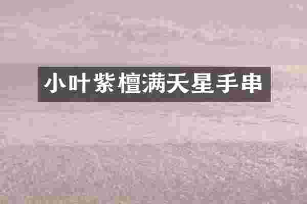 小叶紫檀满天星手串