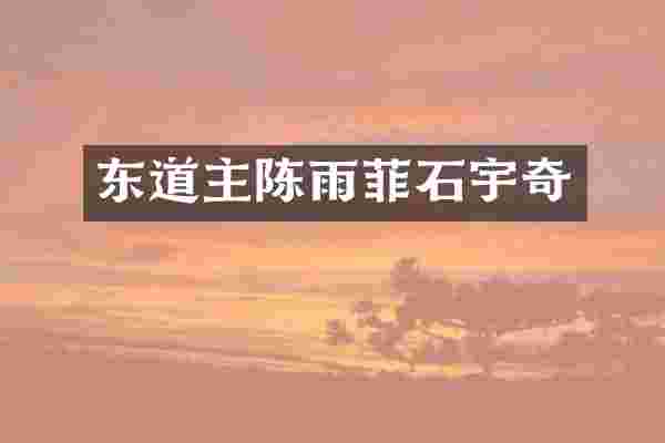 东道主陈雨菲石宇奇