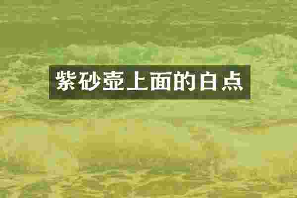 紫砂壶上面的白点