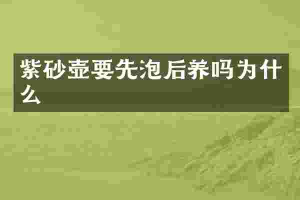 紫砂壶要先泡后养吗为什么