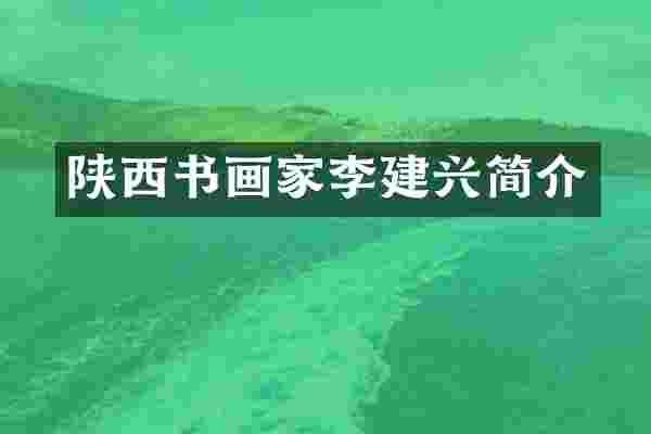 陕西书画家李建兴简介