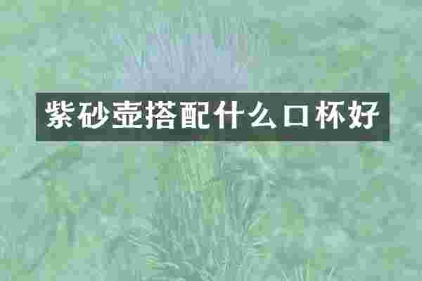 紫砂壶搭口杯好