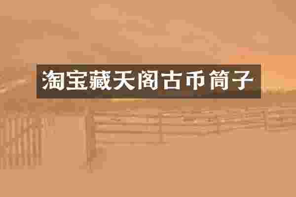 淘宝藏天阁古币筒子