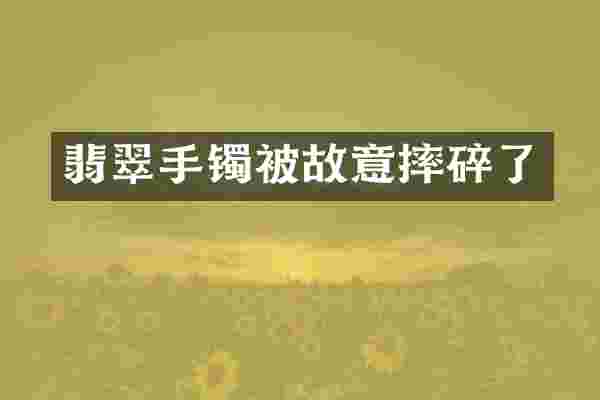 翡翠手镯被故意摔碎了