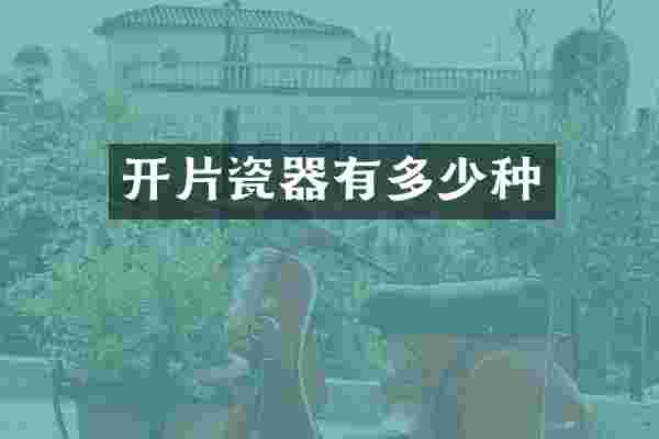 开片瓷器有多少种