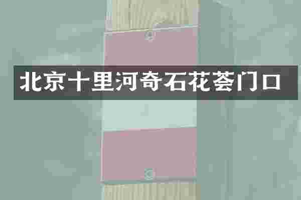北京十里河奇石花荟门口