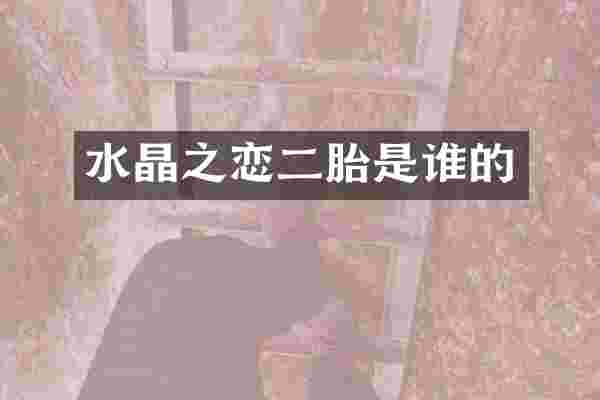 水晶之恋二胎是谁的