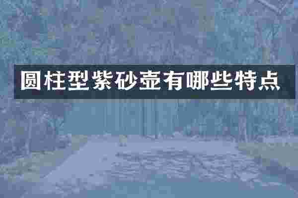 圆柱型紫砂壶有哪些特点