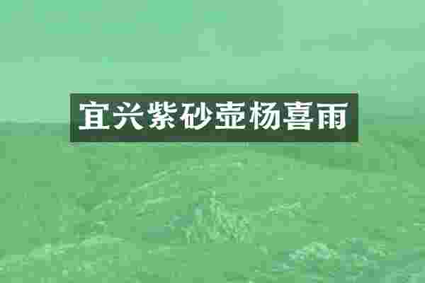 宜兴紫砂壶杨喜雨