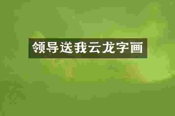 领导送我云龙字画
