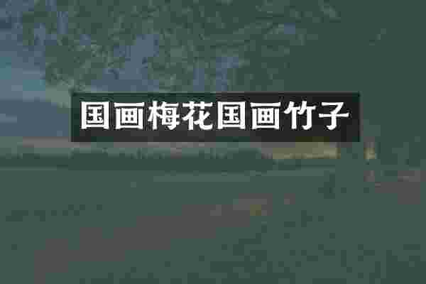 国画梅花国画竹子