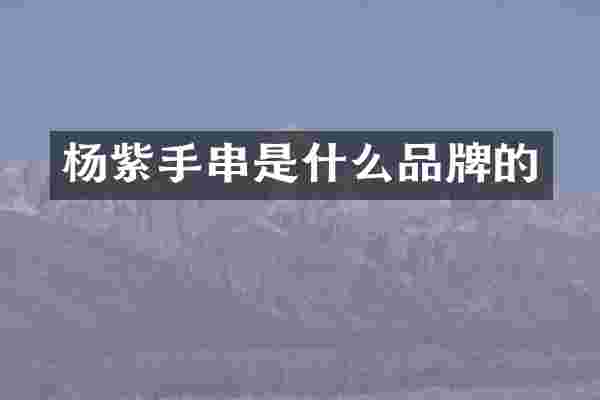 杨紫手串是什么品牌的