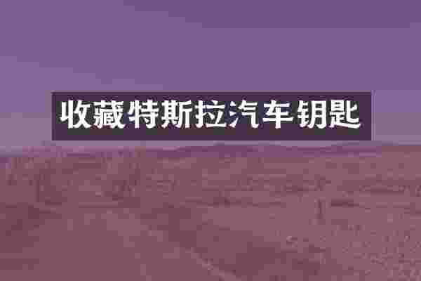 收藏特斯拉汽车钥匙