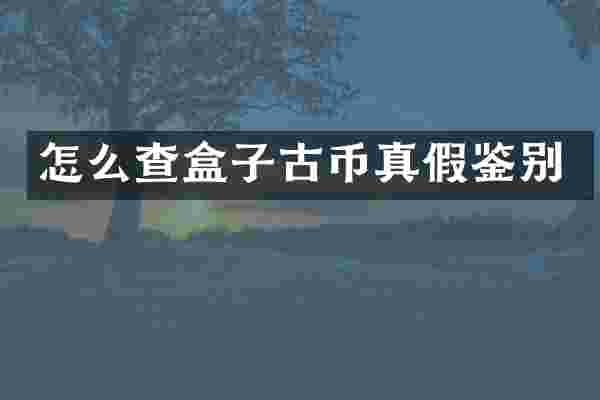怎么查盒子古币真假鉴别