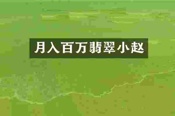 月入百万翡翠小赵