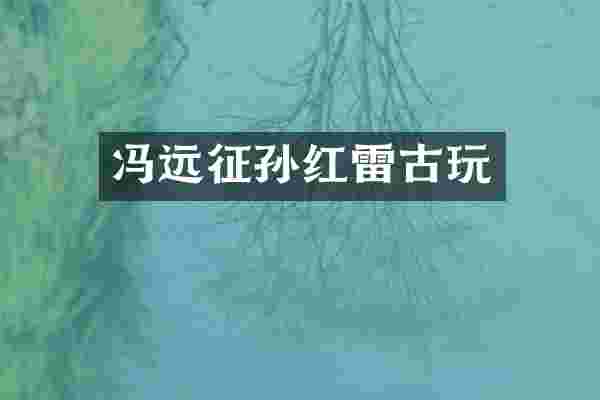 冯远征孙红雷古玩