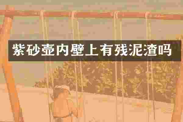 紫砂壶内壁上有残泥渣吗