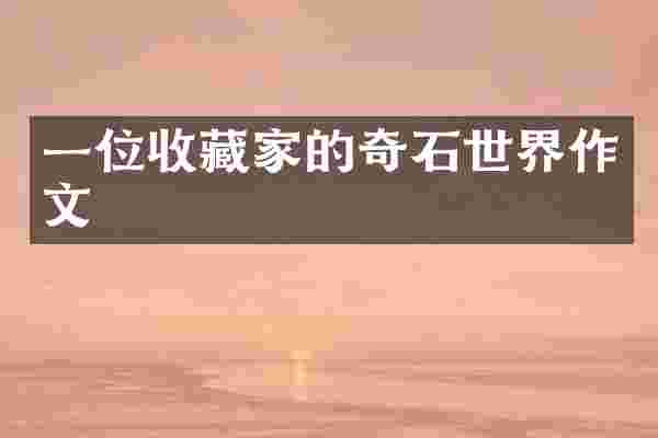 一位收藏家的奇石世界作文