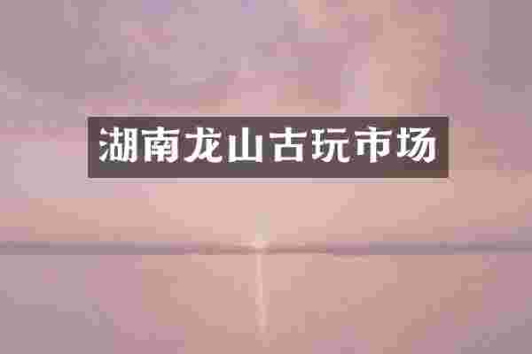湖南龙山古玩市场