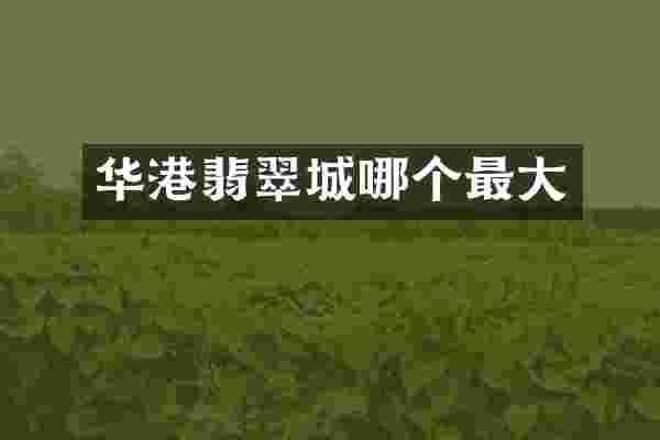 华港翡翠城哪个最大